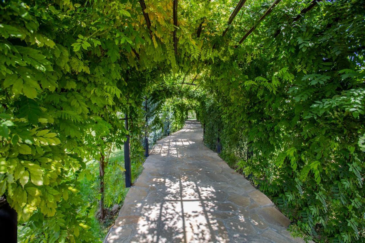 Ambassadori Kachreti Golf Resort Kachret'i Экстерьер фото